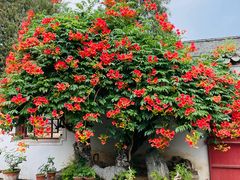 -万达广场(泰安泰山店)