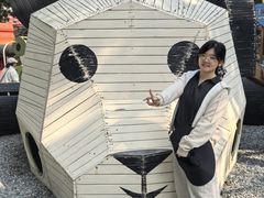 -青龙湖公园