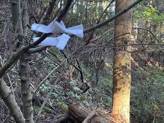 -上色见熊野座神社