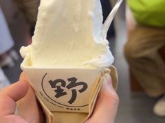 -野人先生Gelato(上海长宁龙之梦店)