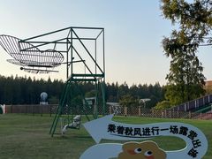 -黄海国家森林公园