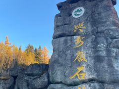 -汤旺河林海奇石景区