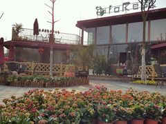 -森居forest休闲咖啡聚集地