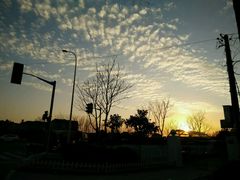 -明珠湖天鹅苑·农家菜馆