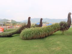 -光明小镇欢乐田园