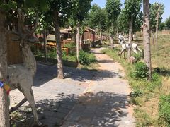 -北京鹿世界主题园