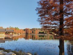 -尚湖风景区