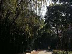 -西安市长乐公园