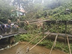 -西双版纳原始森林公园