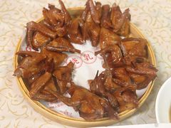 -百利鸽王(紫薇路店)