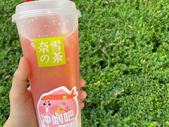 -奈雪的茶(星河城店)