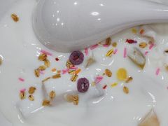 -八次方密云水库鱼粘卷子·熏鸽子·农家菜