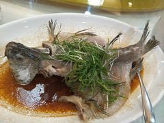 -东江海鲜酒家(艺都分店)