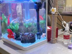 -海底捞火锅(武胜路凯德广场店)