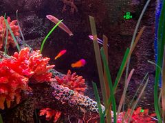 -沈阳海洋探索中心