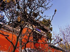-妙应寺白塔