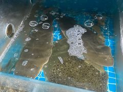 -宾朋海鲜饭庄(兴海路店)