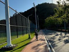 -顺峰山公园