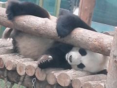 -大连森林动物园