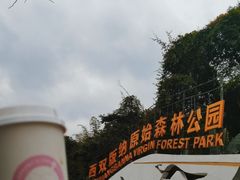 -西双版纳原始森林公园