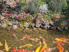 -罗红摄影艺术馆