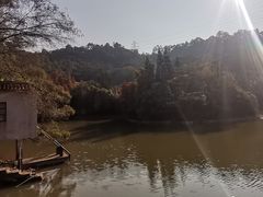 -滴水岩森林公园