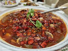 -朝郡酒家·粤菜(燕大星苑店)