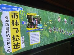 -西双版纳原始森林公园