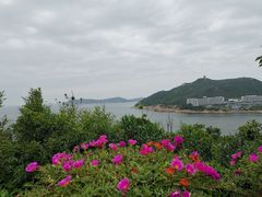 景点-东澳岛