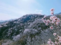 -北京凤凰岭