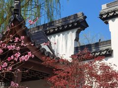 -桃花堤公园