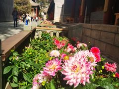 -五台山风景名胜区