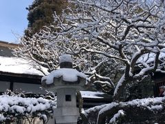 -瑞凤殿