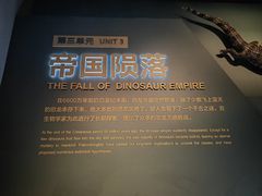 -自贡恐龙博物馆