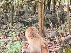 -千岛湖东南湖区