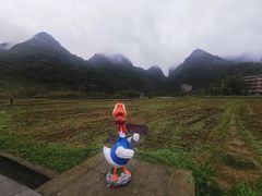 -靖西鹅泉风景区