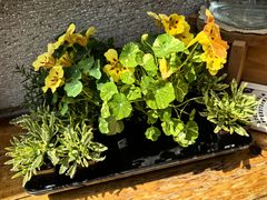 -北马山庄植趣咖啡