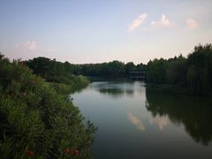 -尚贤河湿地