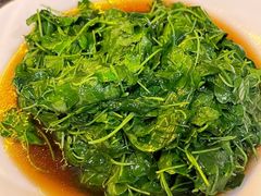 -海金滋(陕西南路店)