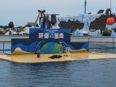 -秦皇岛乐岛海洋王国