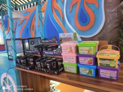 -宝燕乐园(闵行旗舰店)