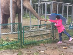 -西安秦岭野生动物园