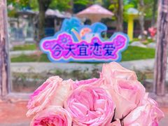 -灵玲国际马戏城