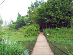 -桤木河湿地公园