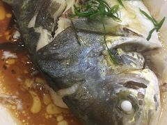 -湛江渔港·大排档(乐园路总店)