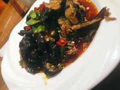 版纳黑鸡脚-茶花妹子云南餐厅(传媒大学店)