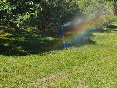 -华南国家植物园-售票处