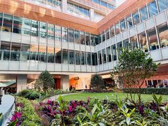 -香港大学