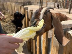 -水上乐园·欢乐世界