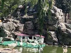 -团结湖公园